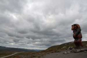 Parc national Hardangervidda