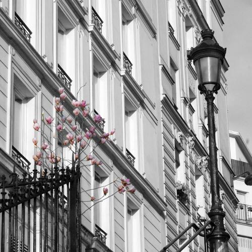Montmartre