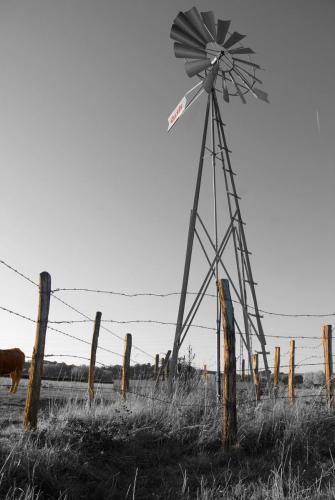 Touraine-Texas #0
