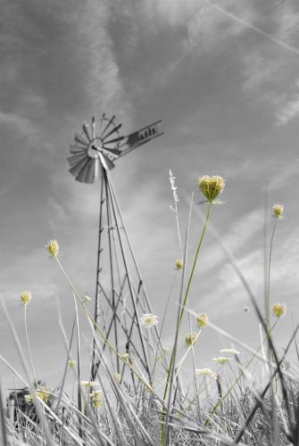 Touraine-Texas #2