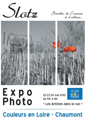 affiche2010-05[SL]