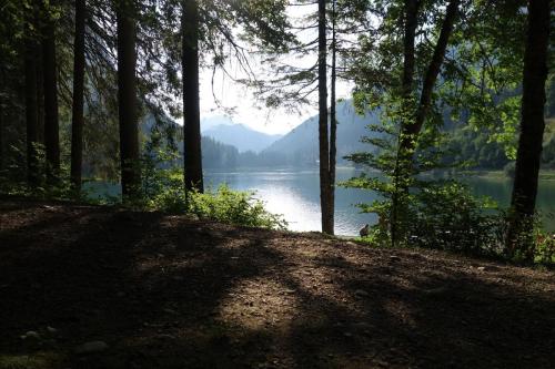 Lac de Montriond