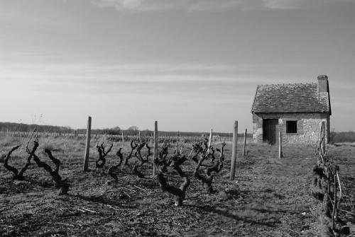 Le bon chemin