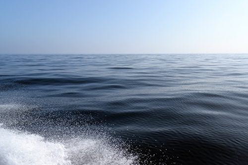 Vagues & âmes