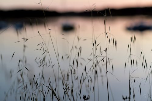 Murmure du soir